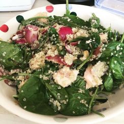 11358215_1455462974773612_78535042_n